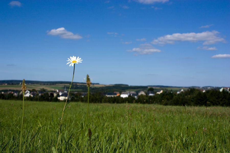 Studiohaus Haus Roswitha Geisfeld  Екстериор снимка